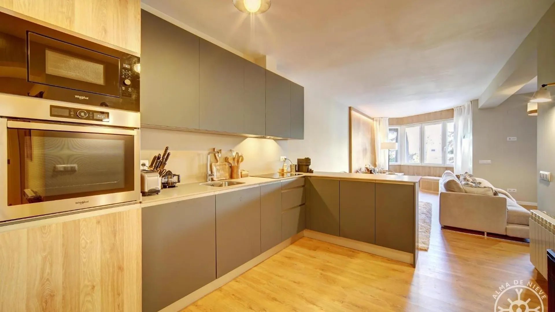Liebre De Alma De Nieve Apartment Naut Aran 0*,  Spain